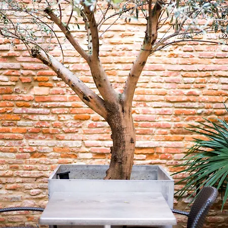 מלון Grand D'orleans טולוז