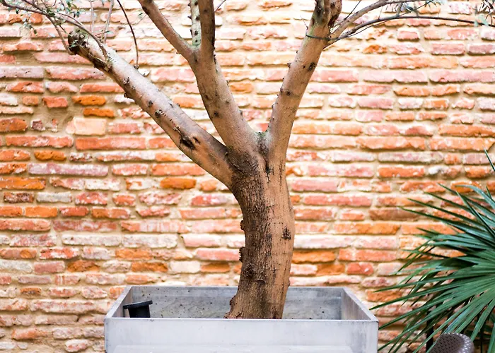 Hotel Grand D'orléans Tolosa