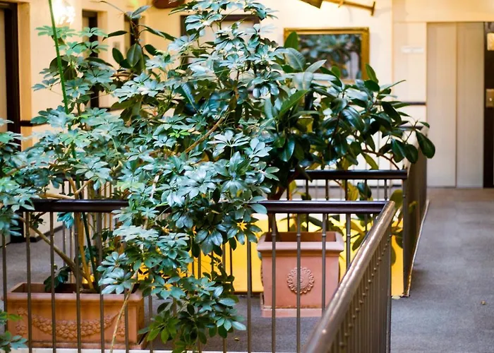 Hotel Grand D'orleans Toulouse