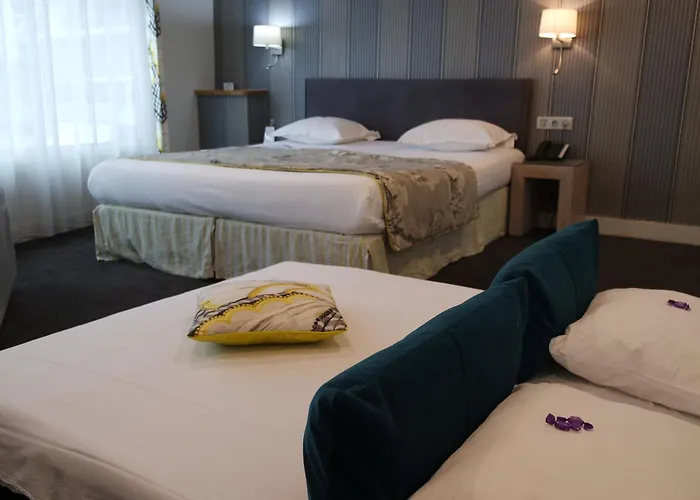 Grand D'orleans Отель 3*